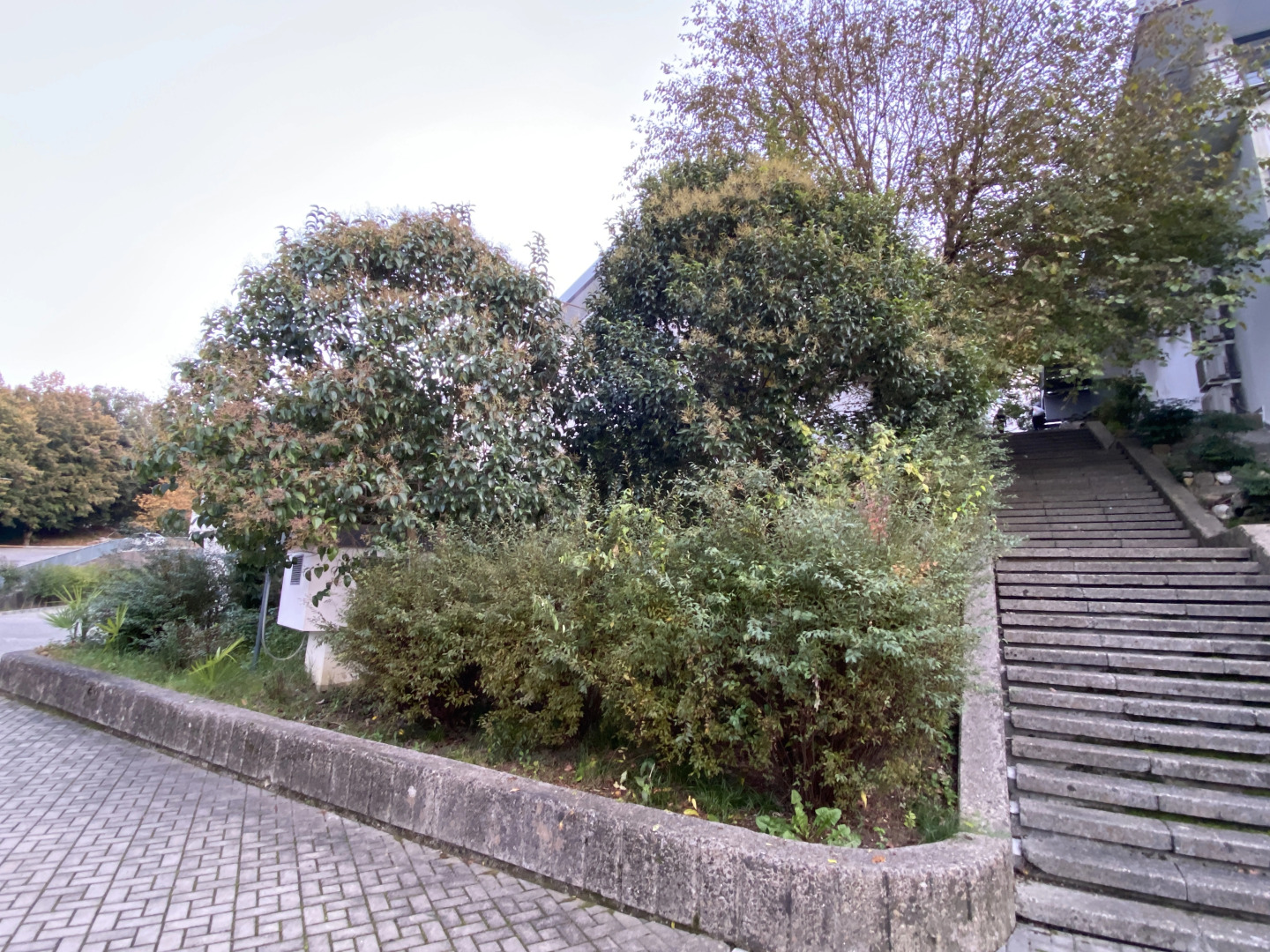 Апартаменты Стандарт 2-местный Комфорт