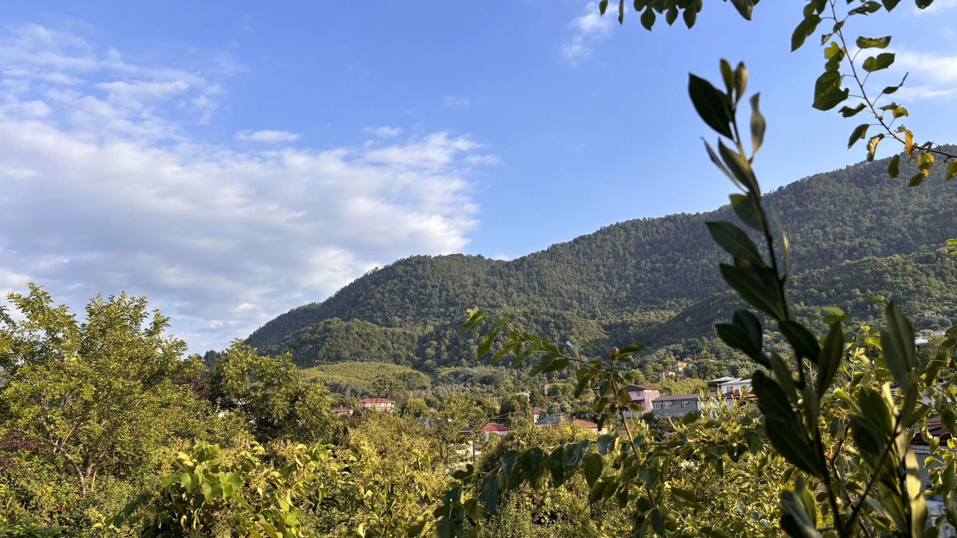 Частный дом Агава