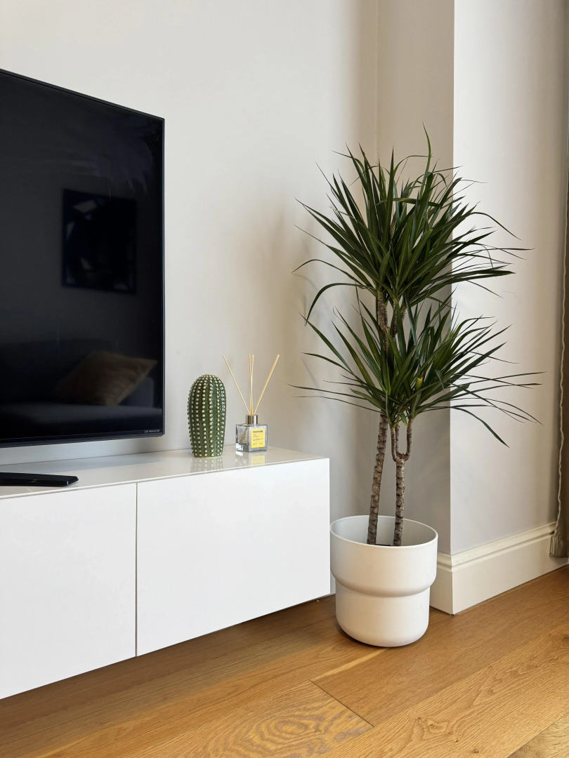 Апартаменты стильные в центре города