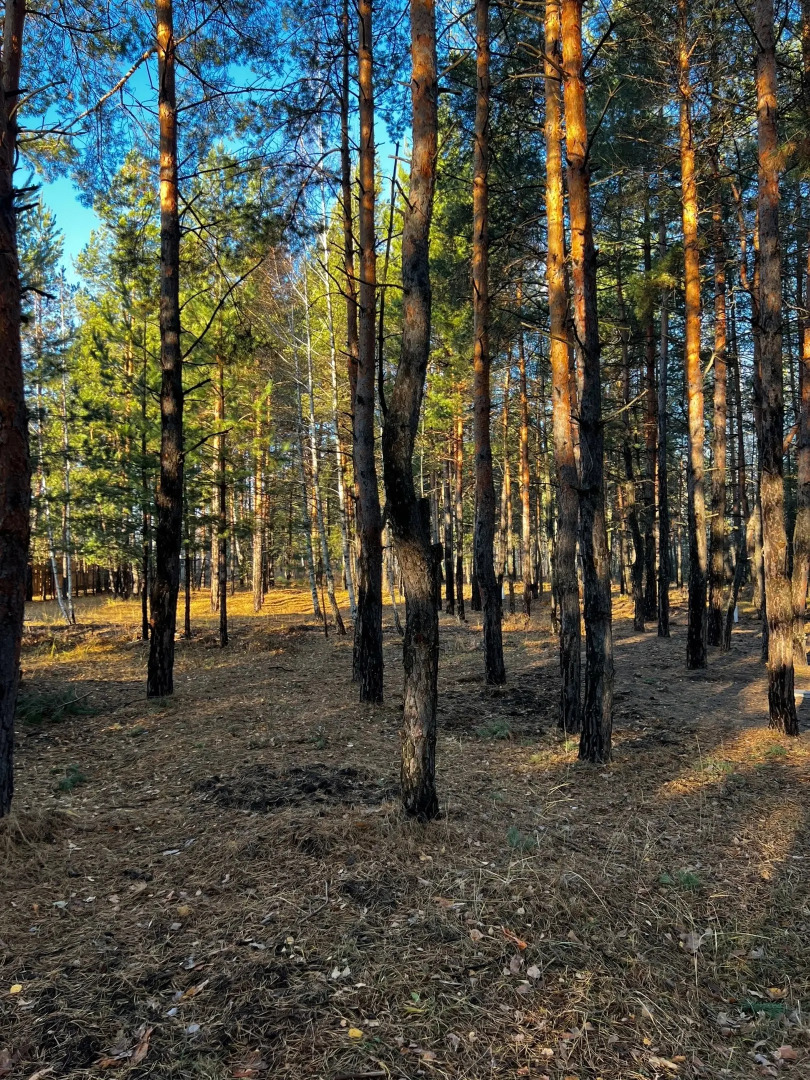 ПриродаРода