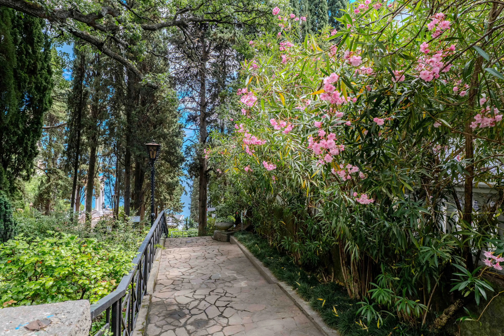 Парк-Отель Актер