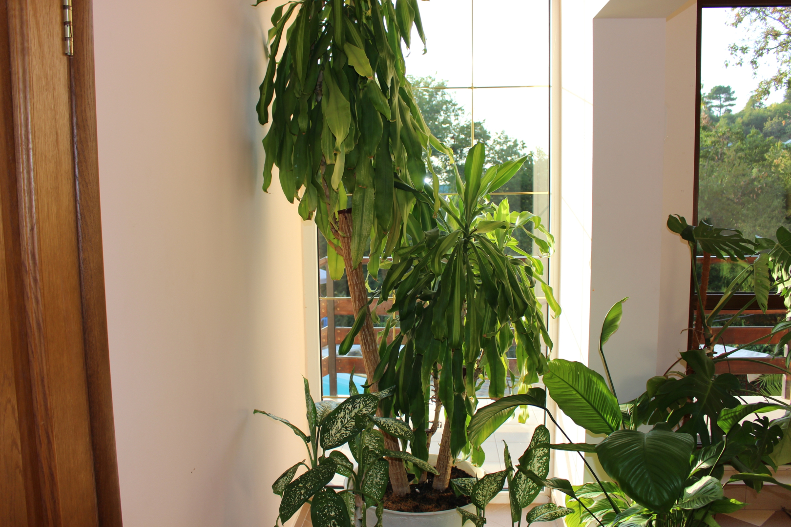 Гостевой дом Вилла Надежда