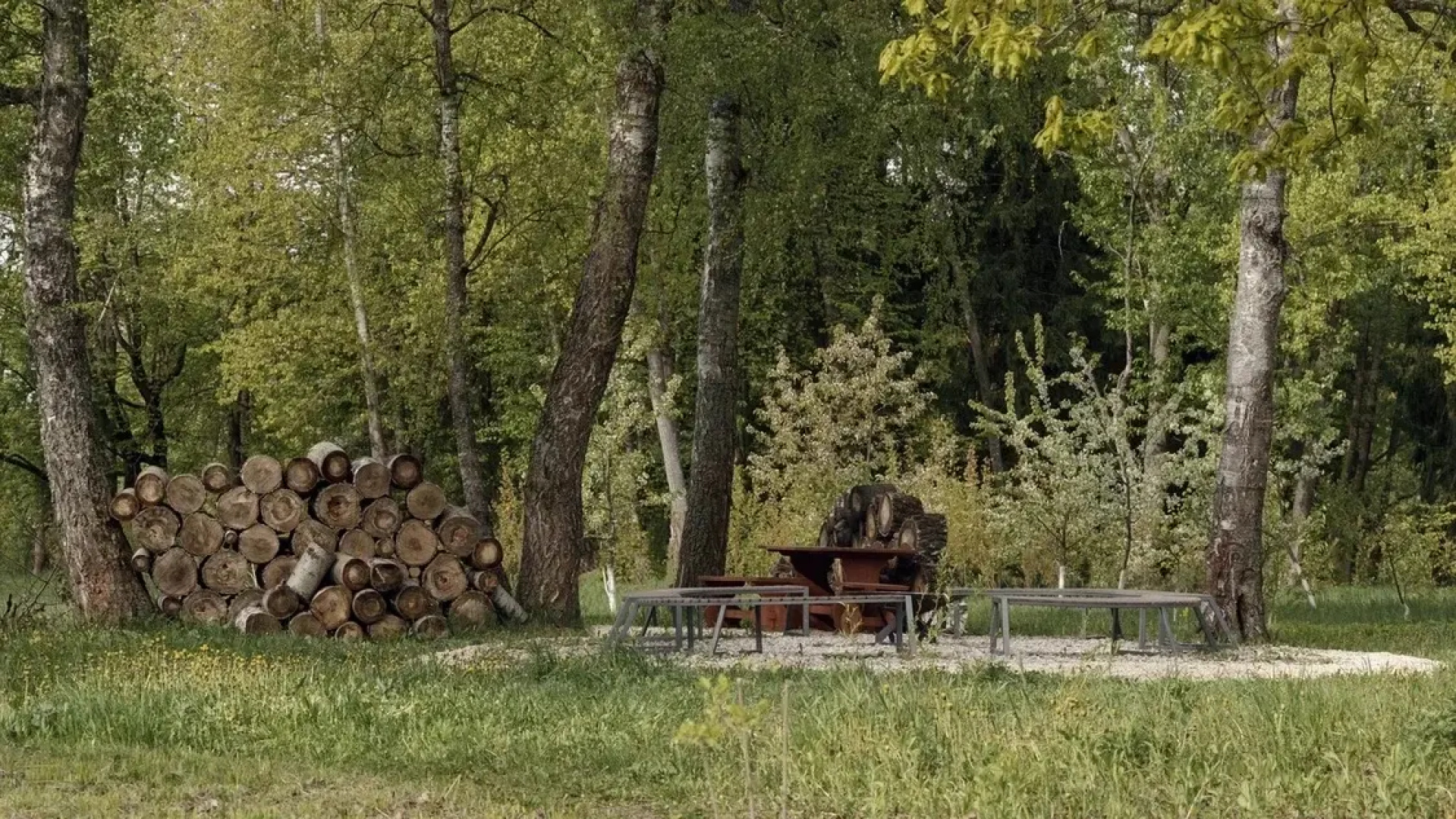 Отель Чехов Апи