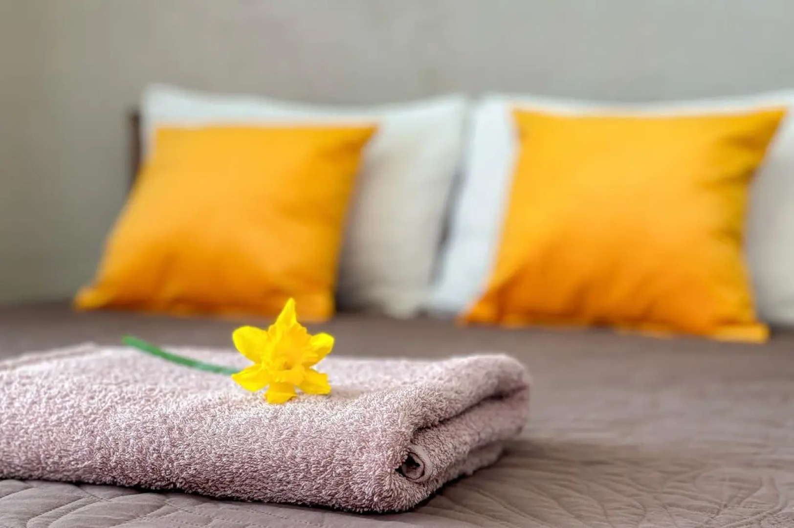 Отель Консул