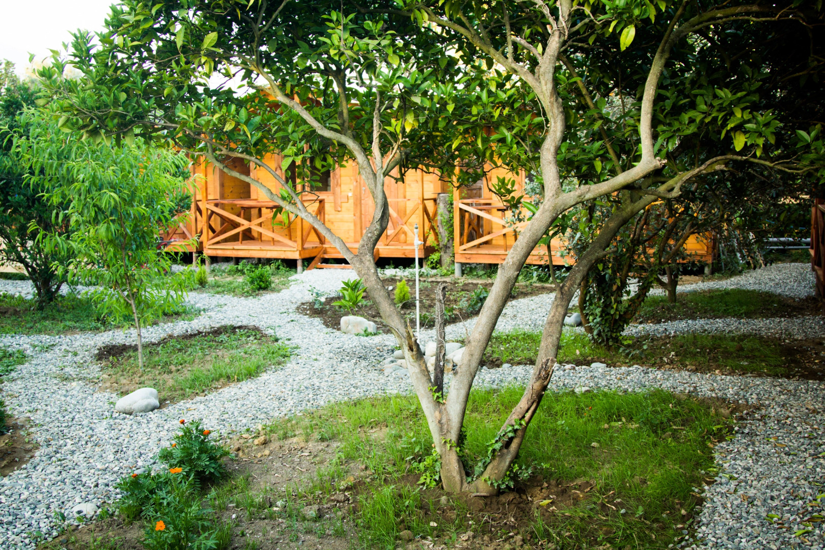 База отдыха Теремки