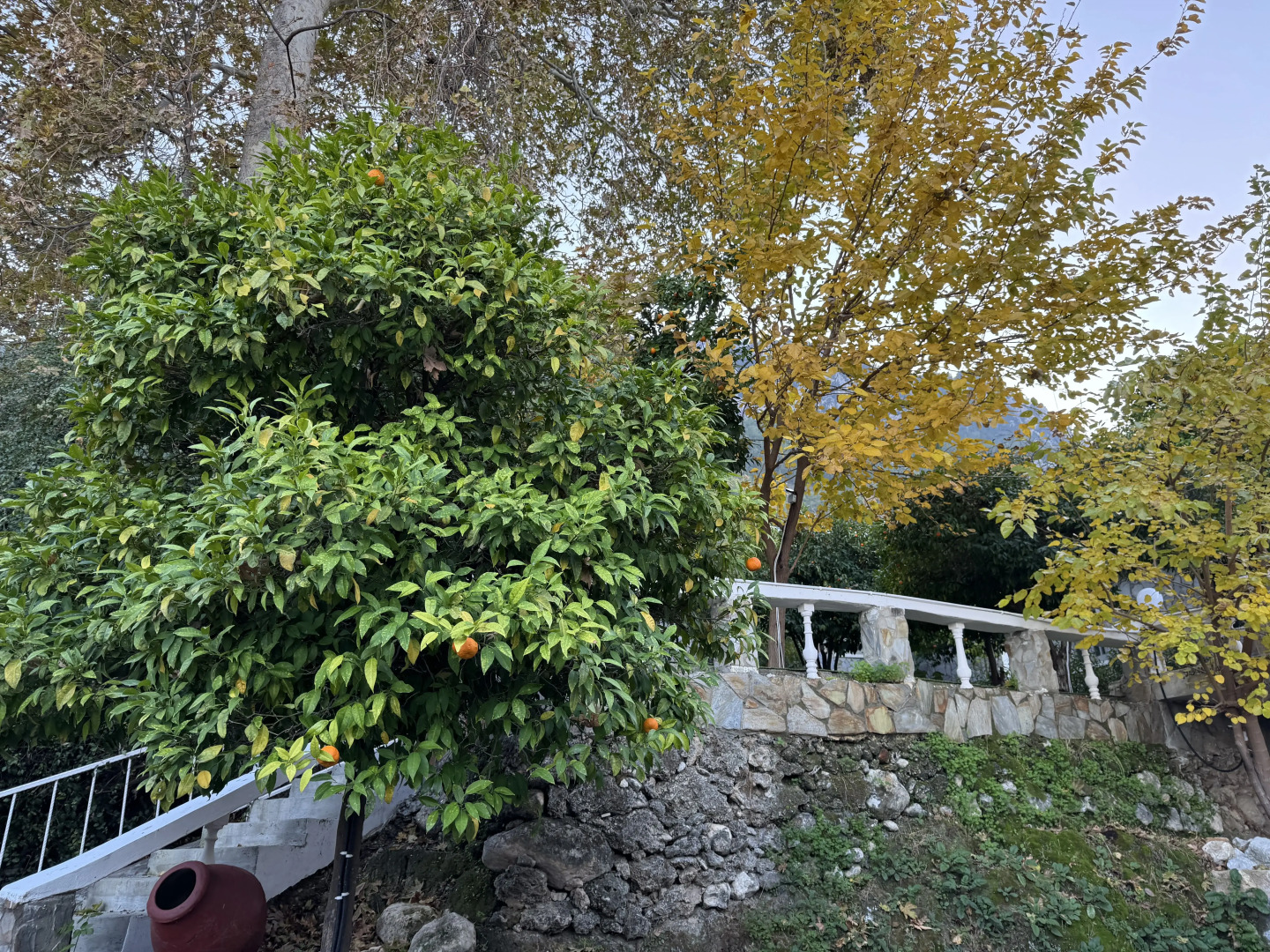 Отель The Old Mill Lapta