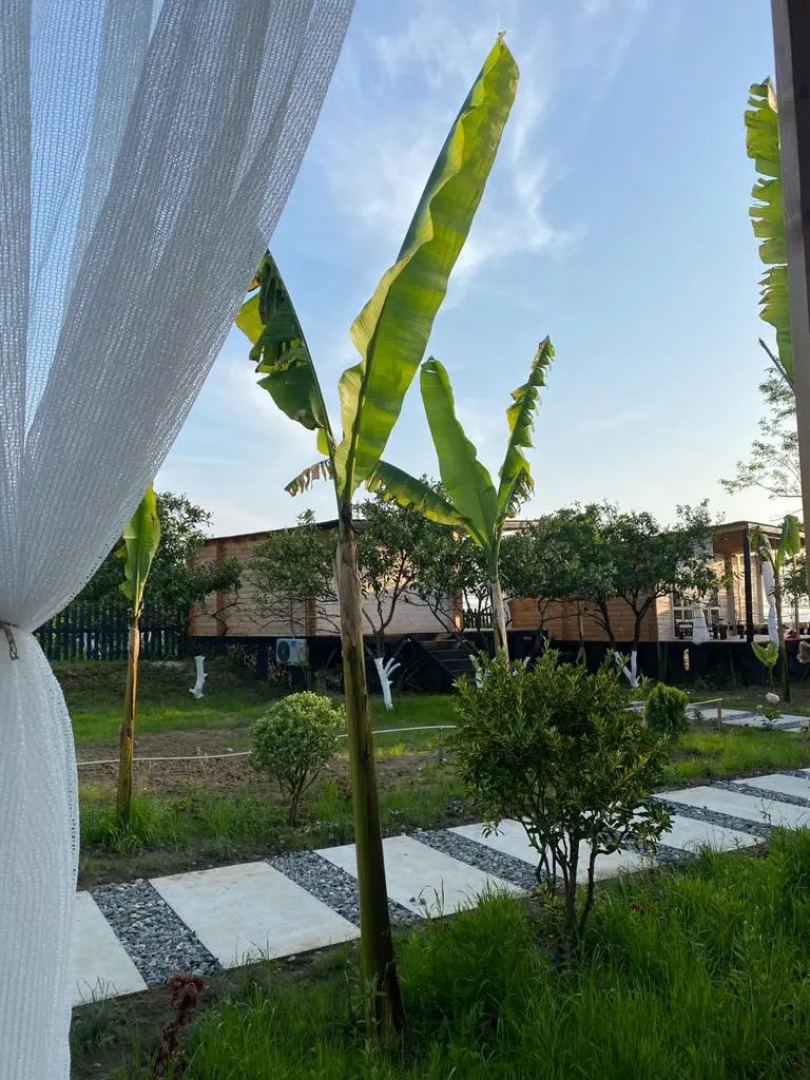 Мини-отель Aqua Palm Resort