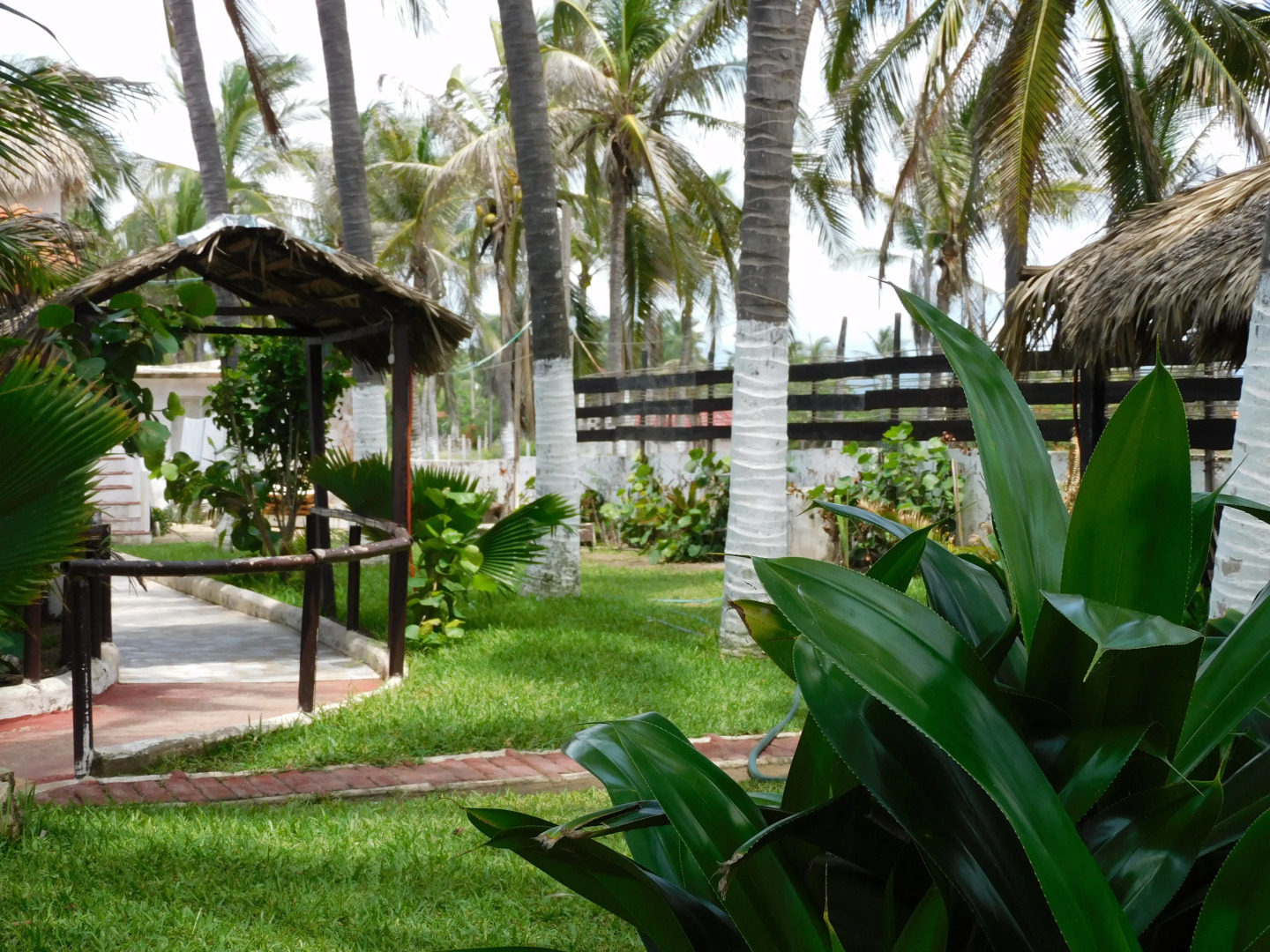 Отель Temazcal y Spa Coquis By Rotamundos