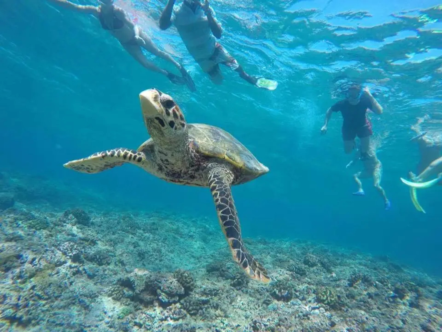 Гостевой Дом Holiday Cottage Maldives