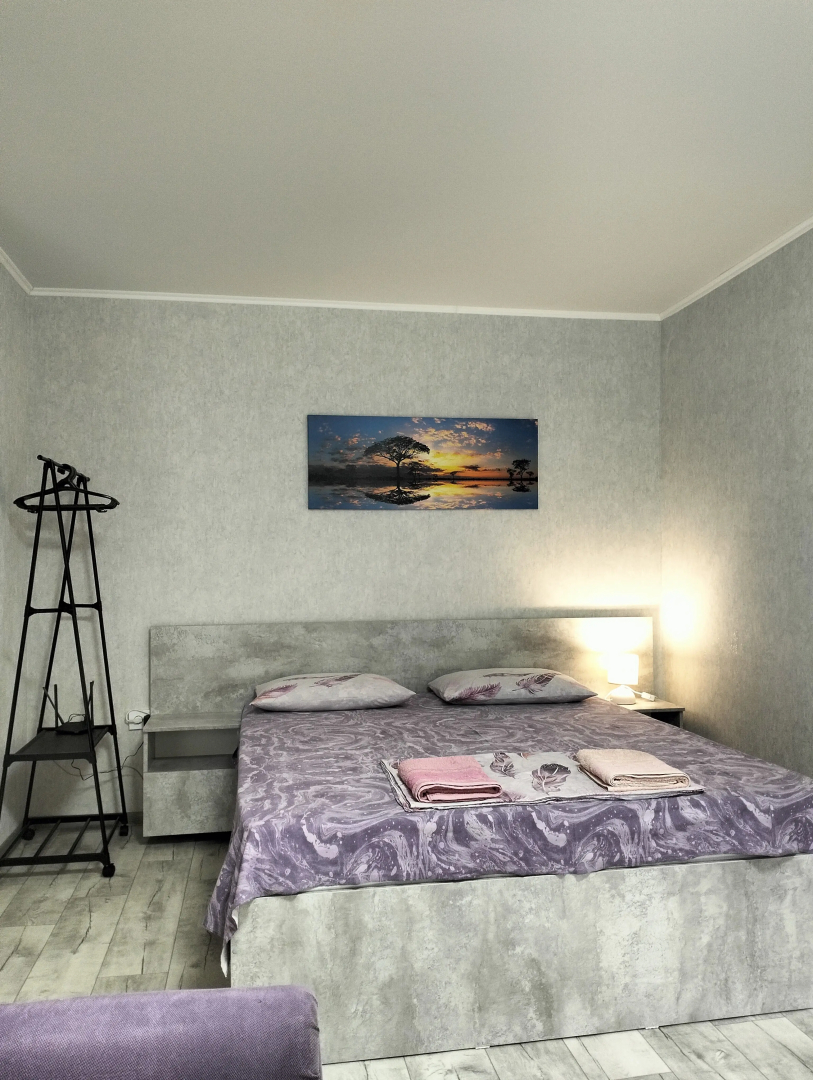 Квартира 1к Володарского 17