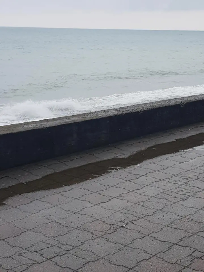 Отель Best Fest