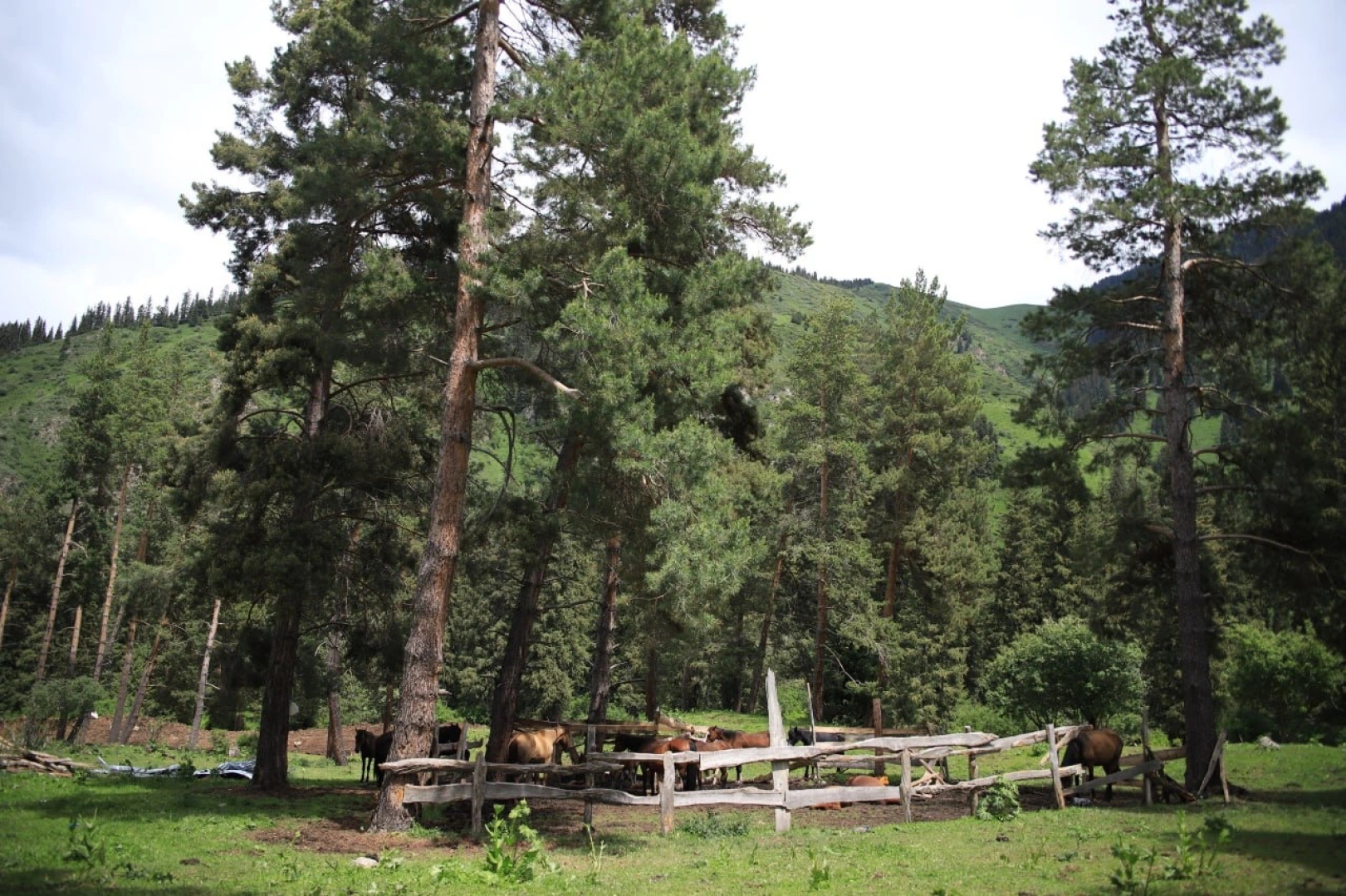 Guest house Zhyluu Suu