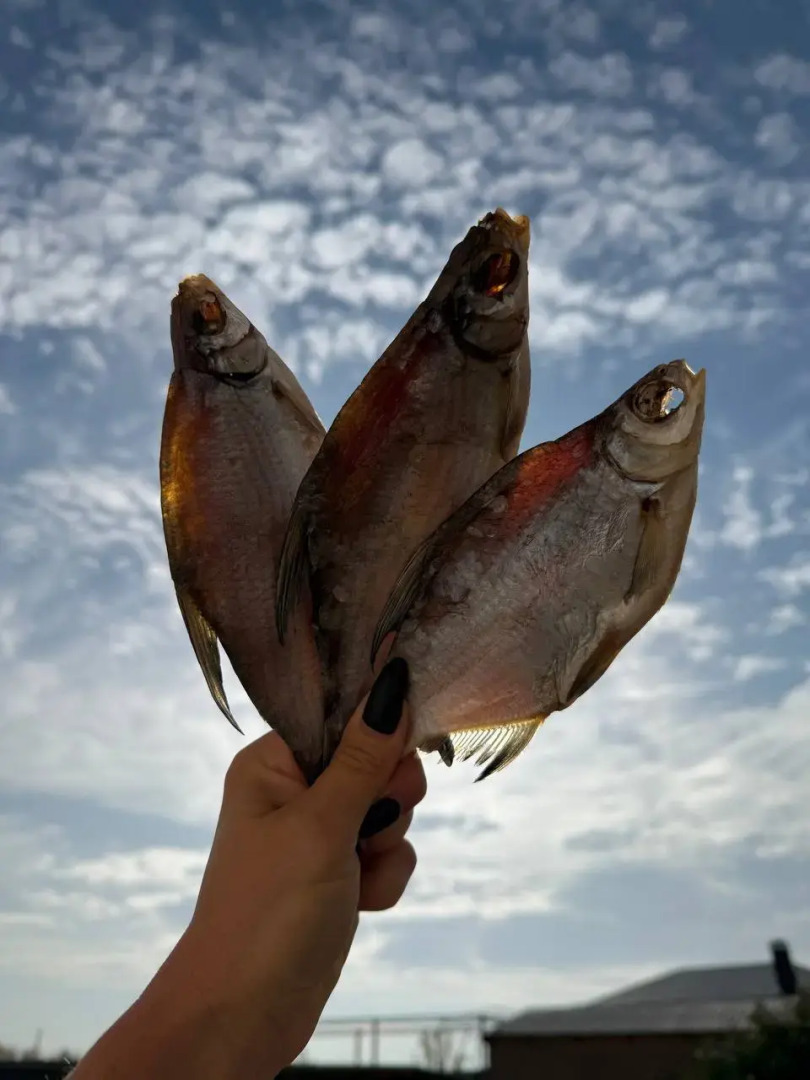 Гостевой дом Трофейный дом