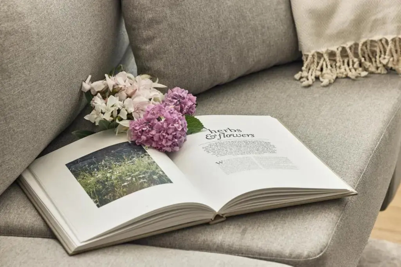 Отель La Fleur Boutique