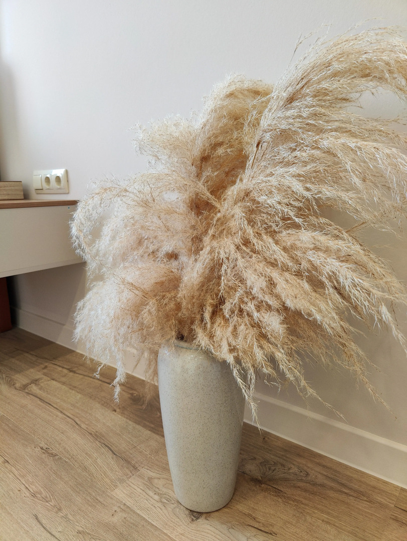 Апартаменты Березовая роща