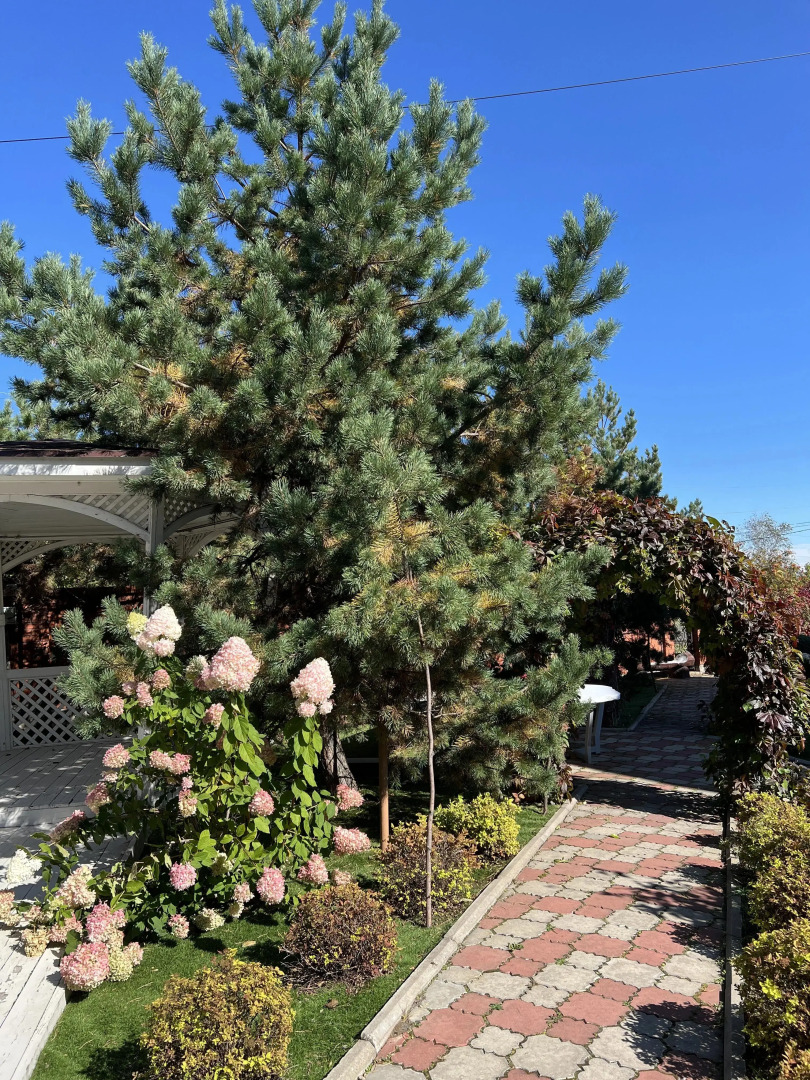 Отель Сокольники