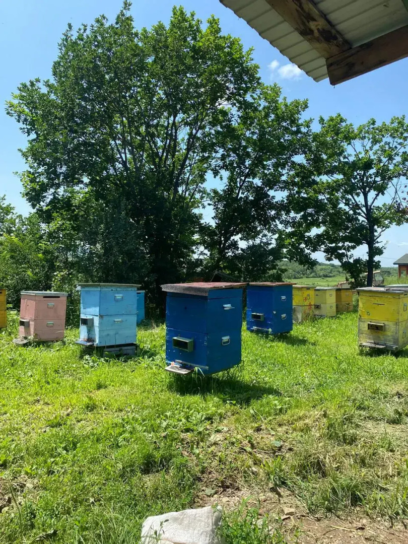 База отдыха Синегорье