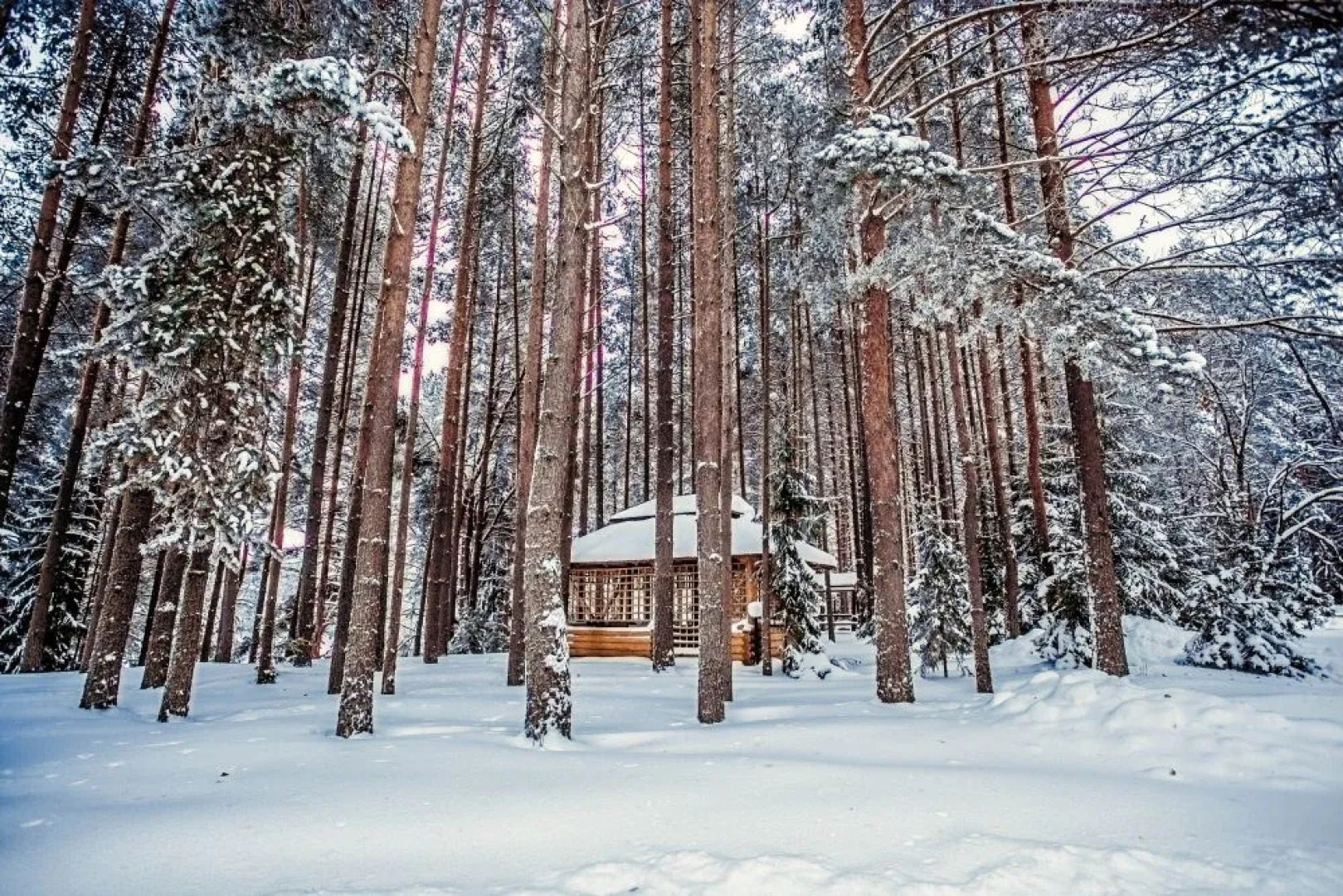 Отель Дивный Мир Хижина