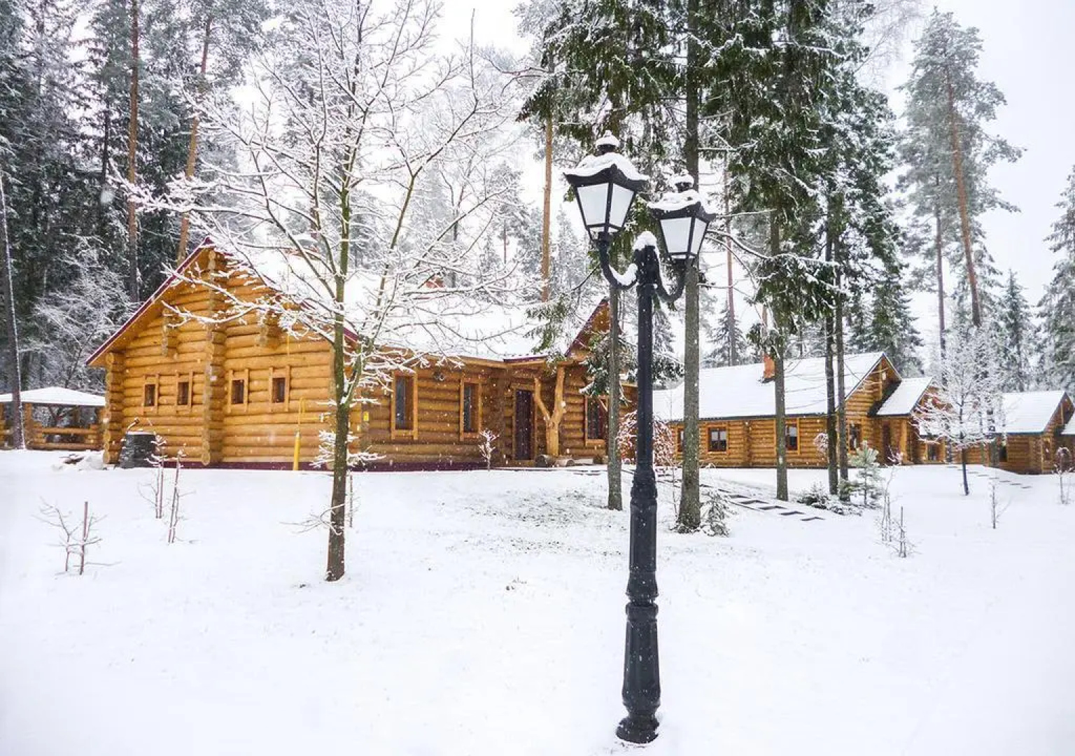 Отель Green Park Conference & Spa