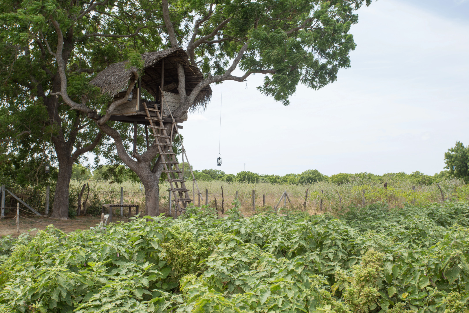 Отель Nilaveli Beach
