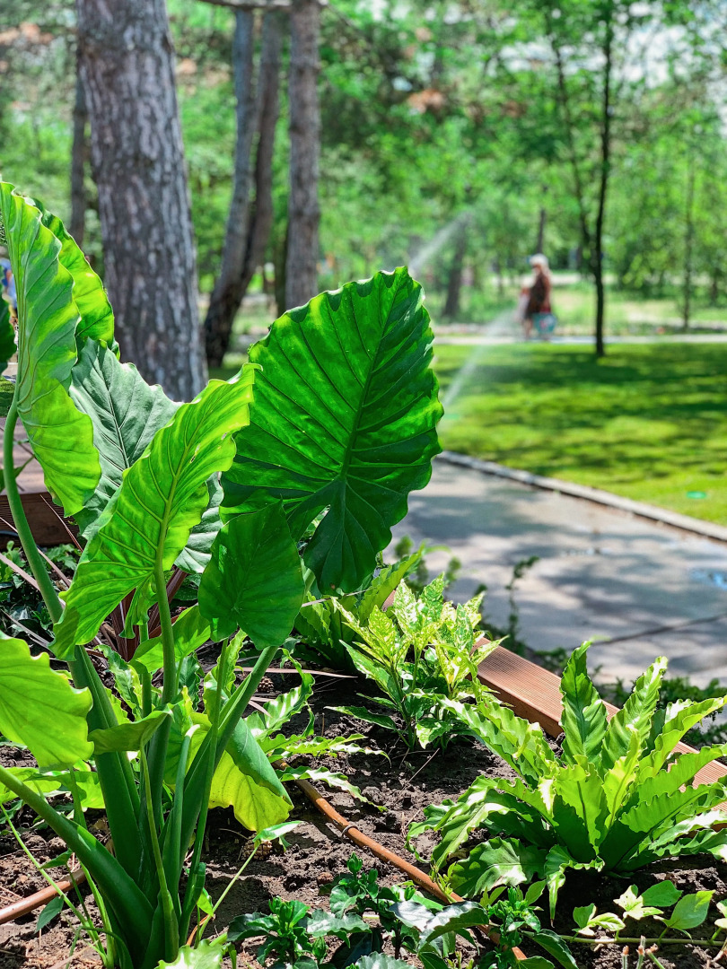 База отдыха Valen Park