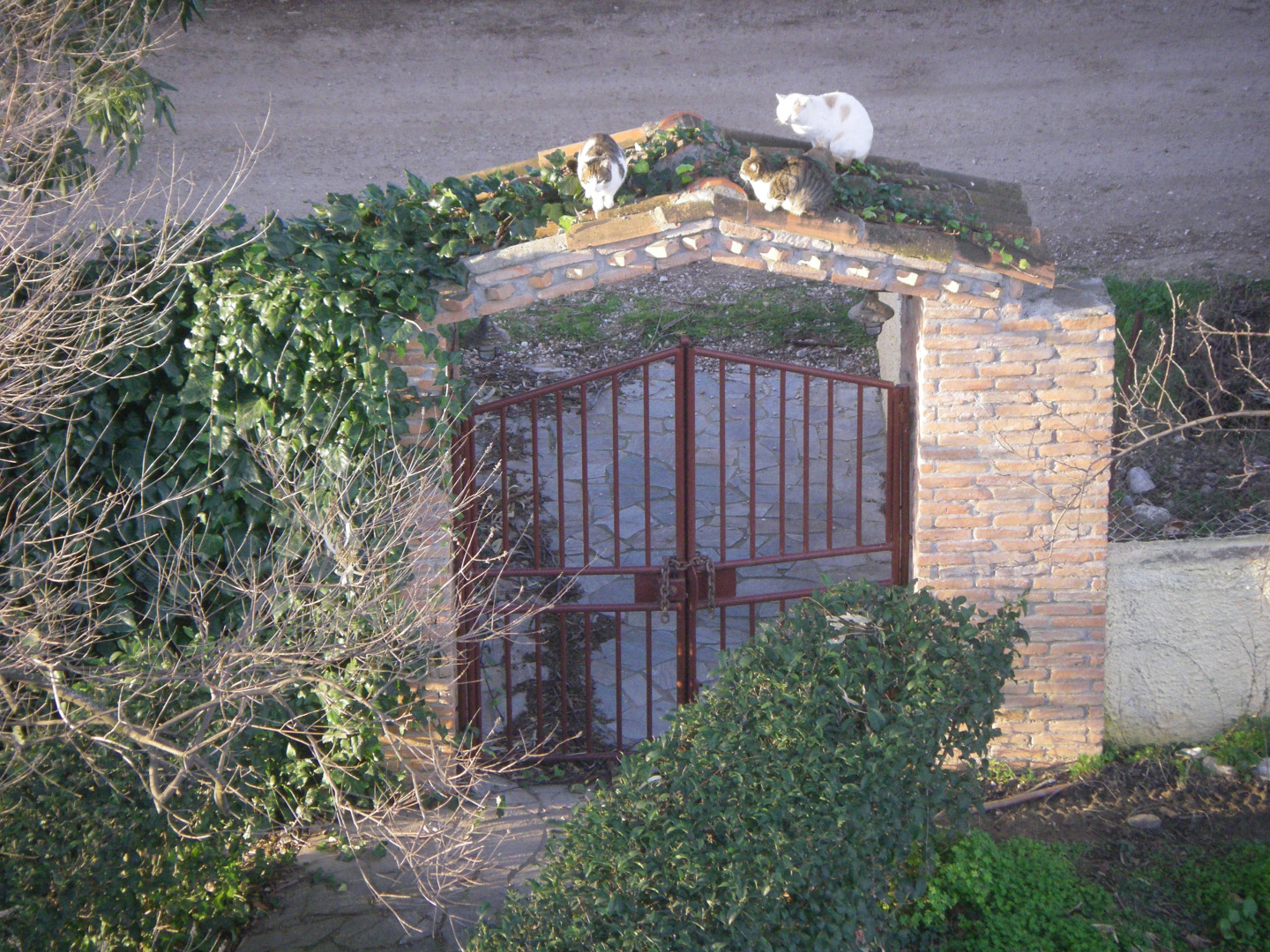 Апартаменты Aenaon Studios