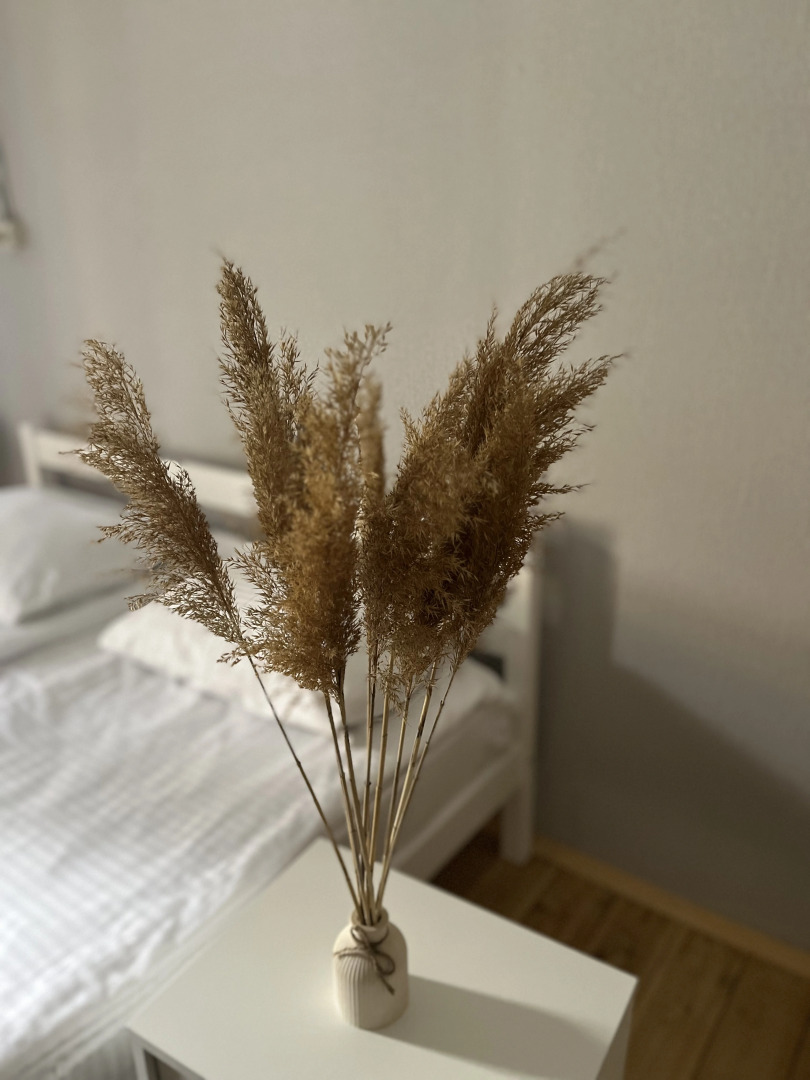 База отдыха Astu