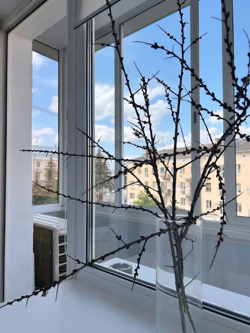 Квартира Уютная в Центре Города Тверь