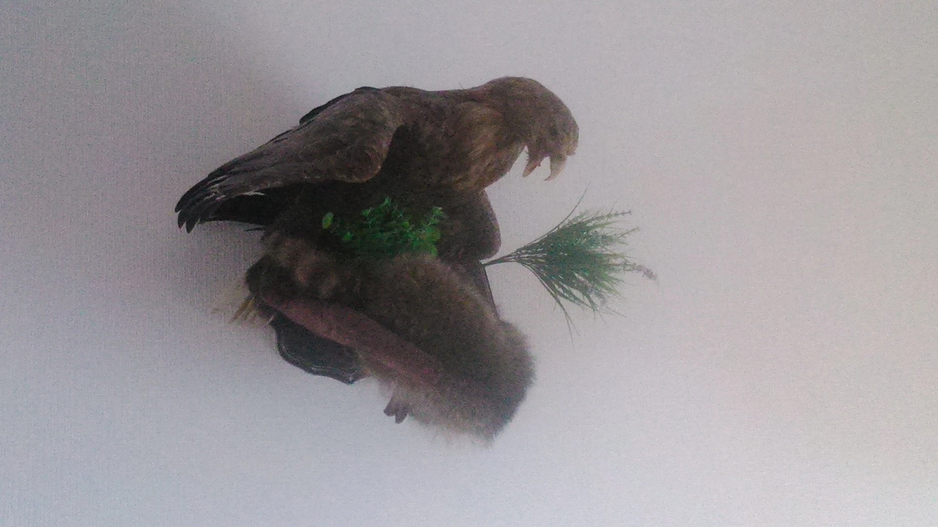 Na Raduzhnoy (Gelendzhik)