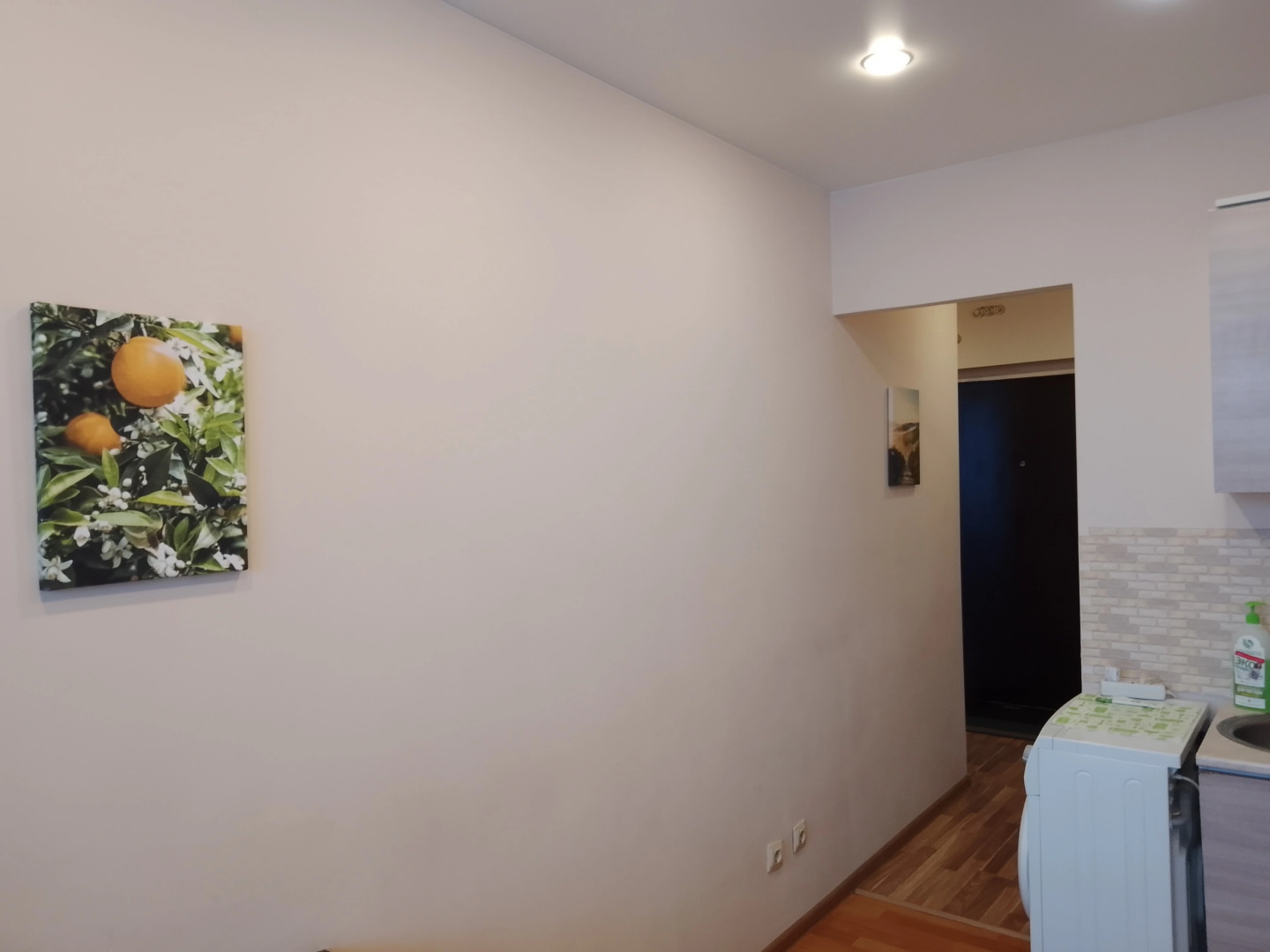 Апартаменты на Европейском проспекте 14