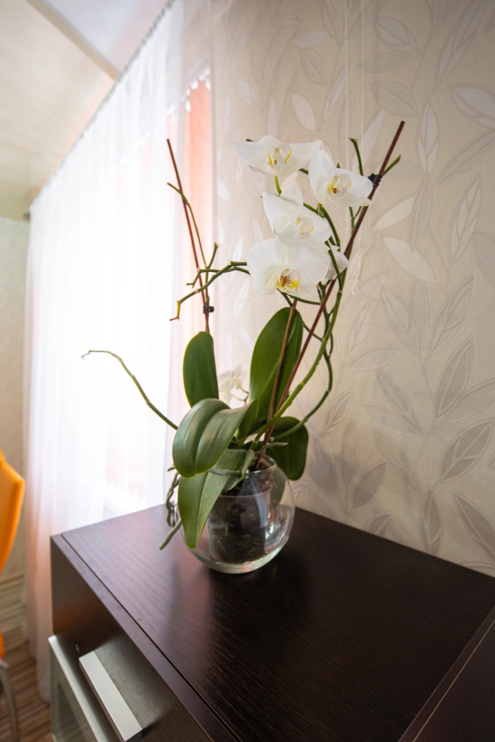 Апартаменты PtzHome Cтудия Орхидея