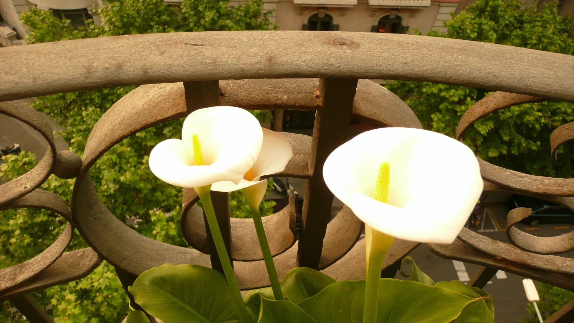 Апартаменты Platinum in Residential  Area