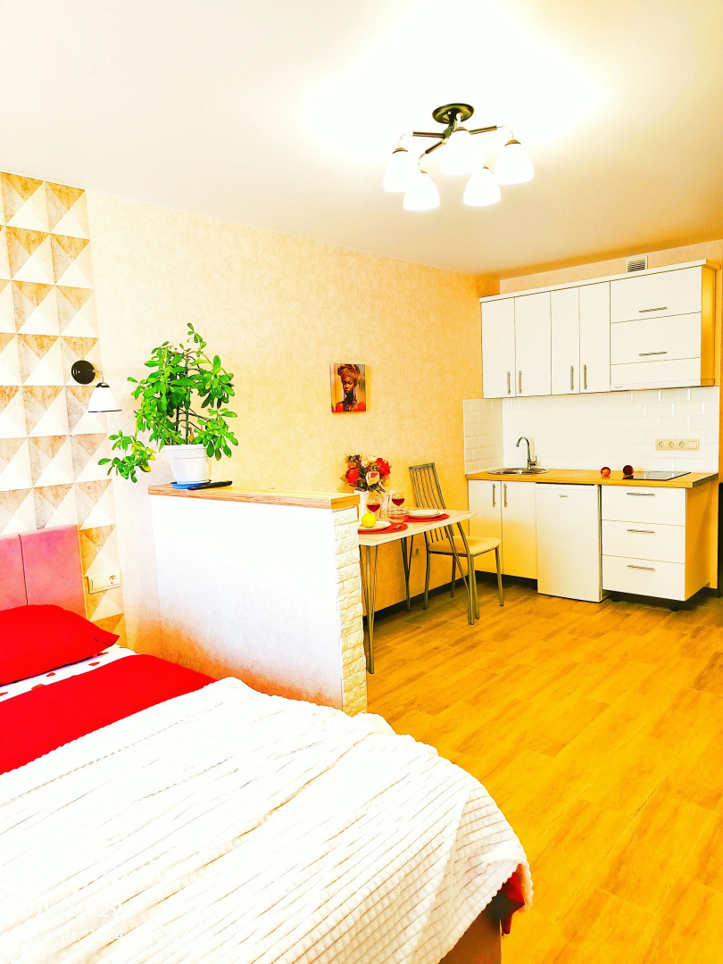 Квартира-студия в центре Воронежа