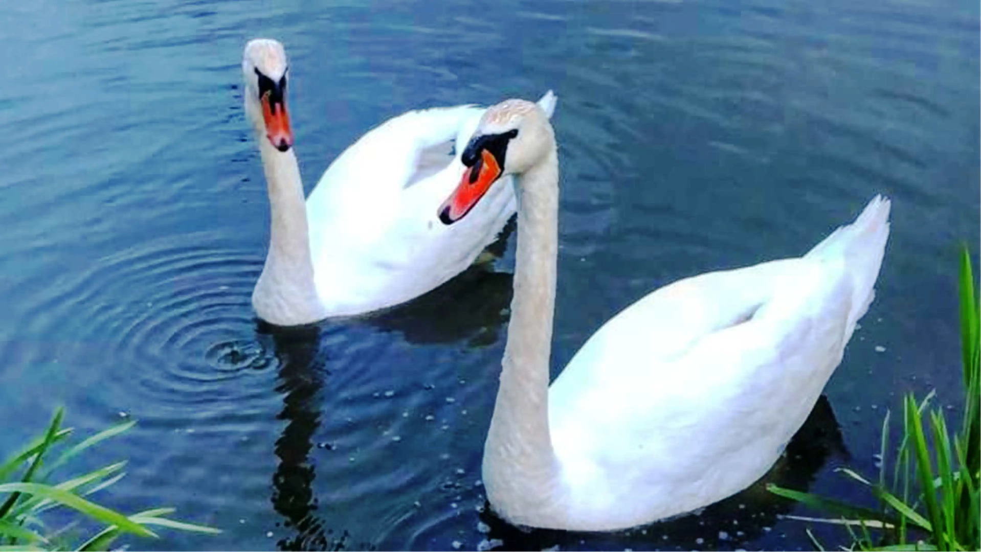 Квартира  MiHome Фантастические Закаты