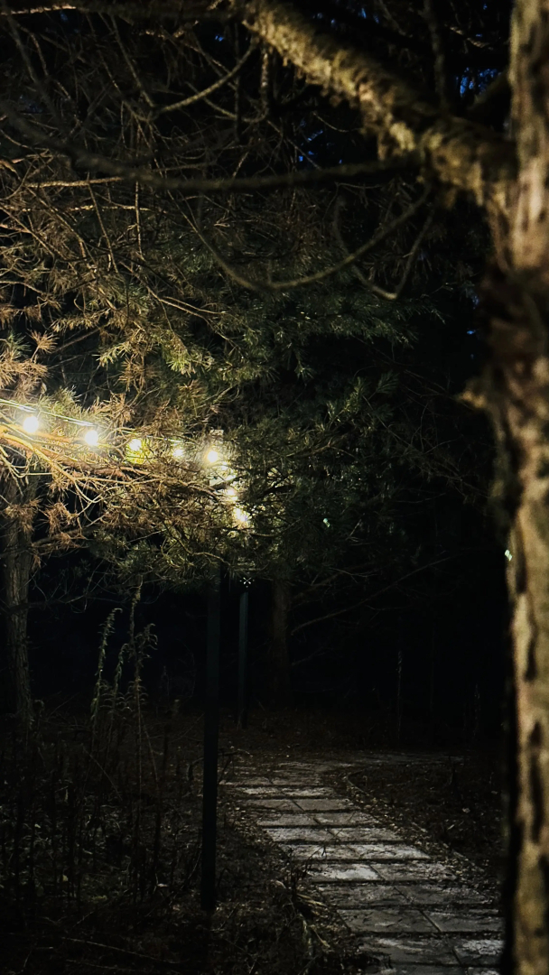 Частный Дом Западная Дача в Тарусе