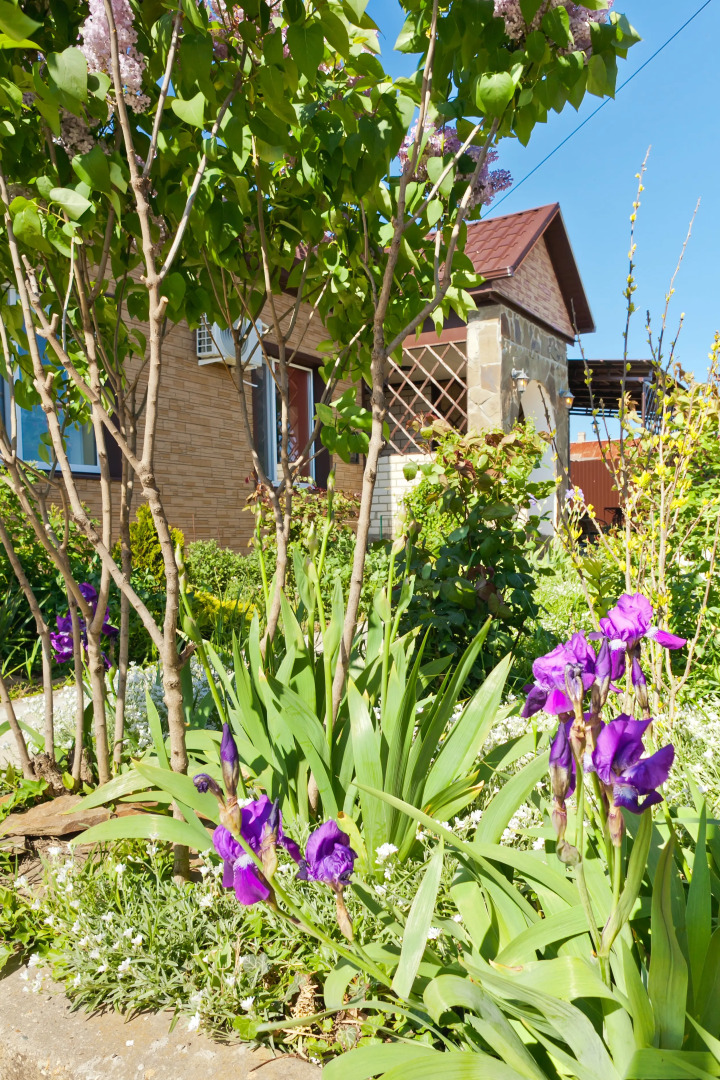 Гостевой дом Ленивый Дельфин