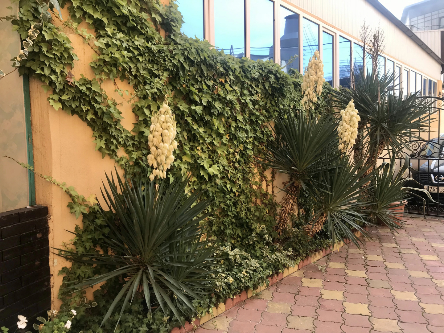 Dom S Delfinami Guest House