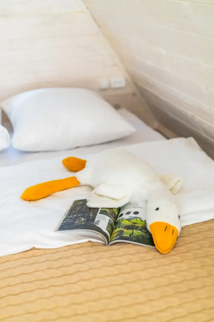 Частный дом в лесу у реки Пра