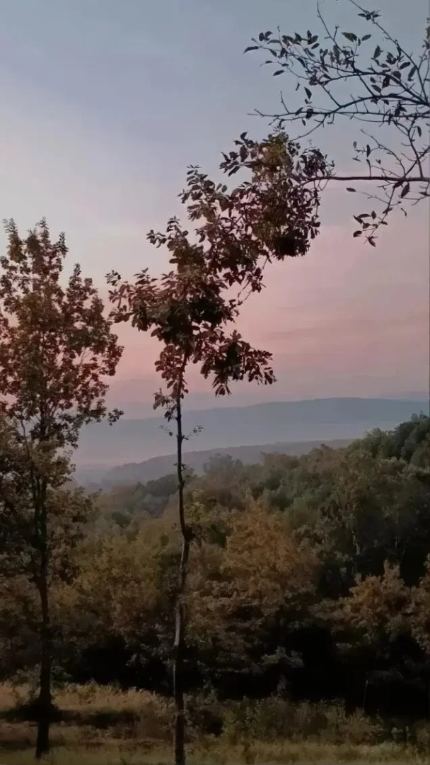 База отдыха Солнечный  Склон