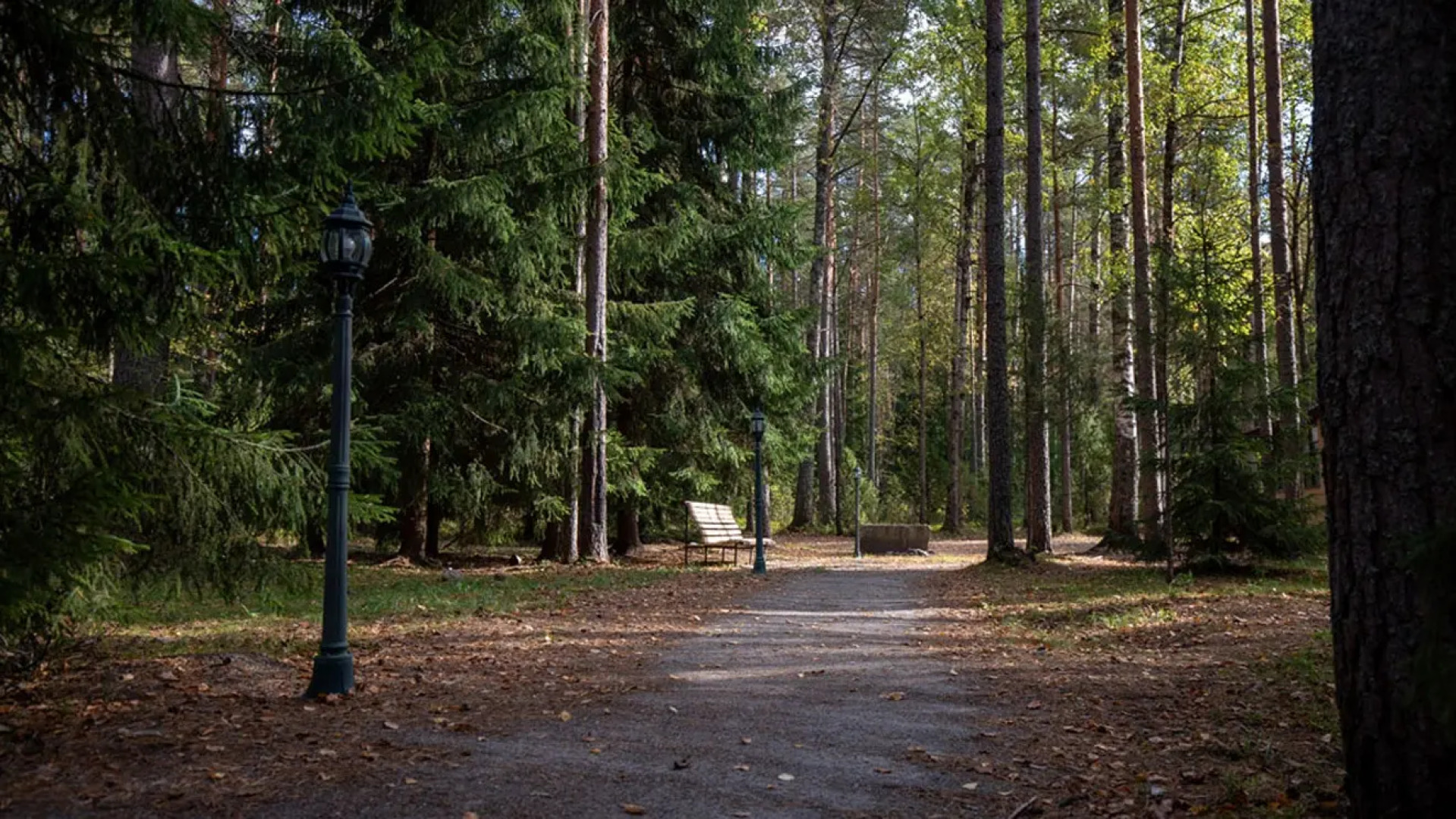 Отель База отдыха Заветное