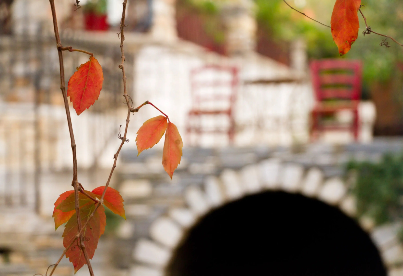 Отель Villa Flora