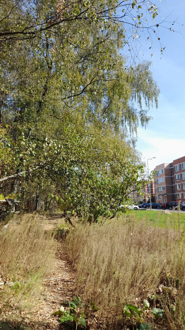 Квартира в ЖК Малая Истра 17