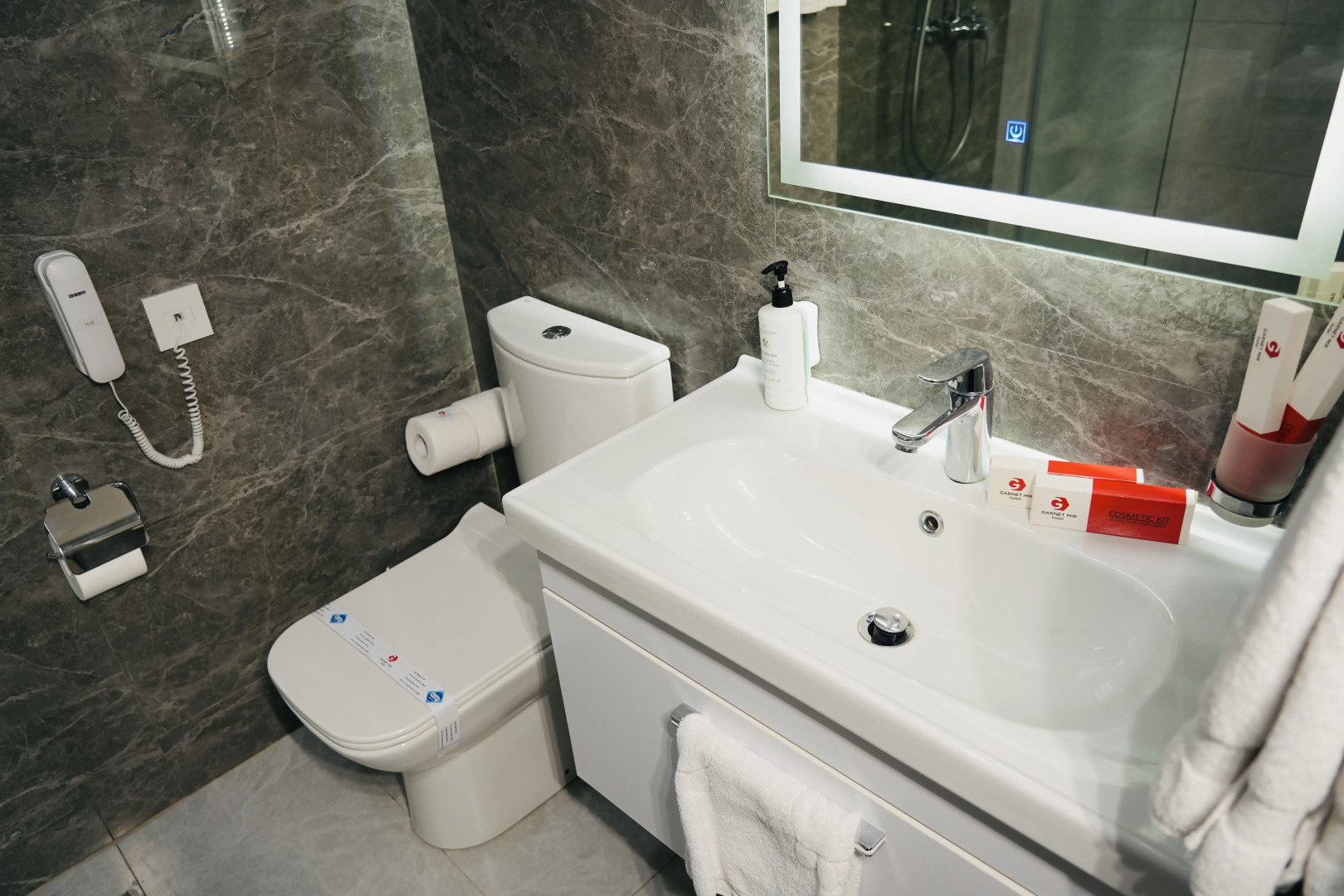 Отель Garnet Mir