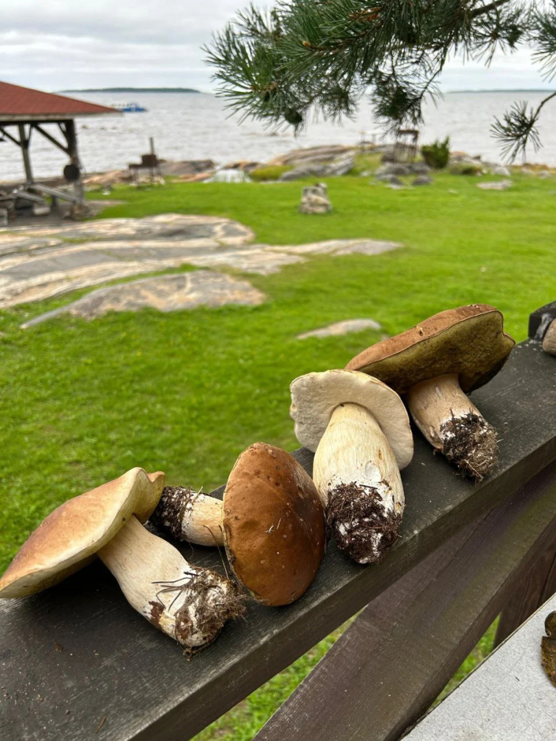 База отдыха Лопский берег