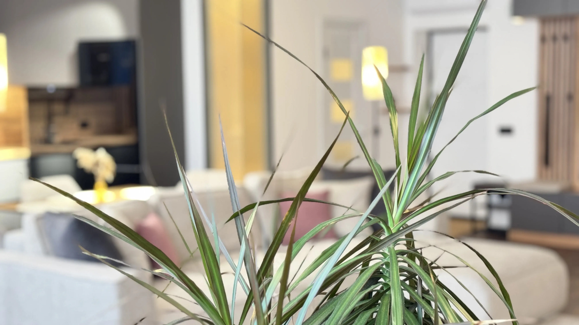 Квартира Уютная In the heart of König 2