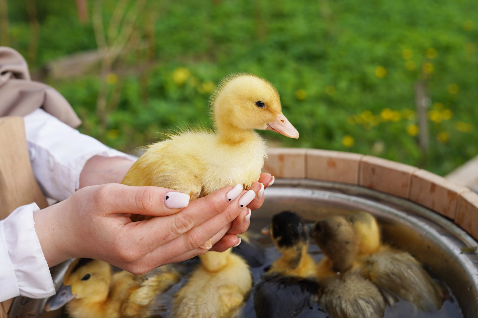 Дом Уютный в стиле Прованс