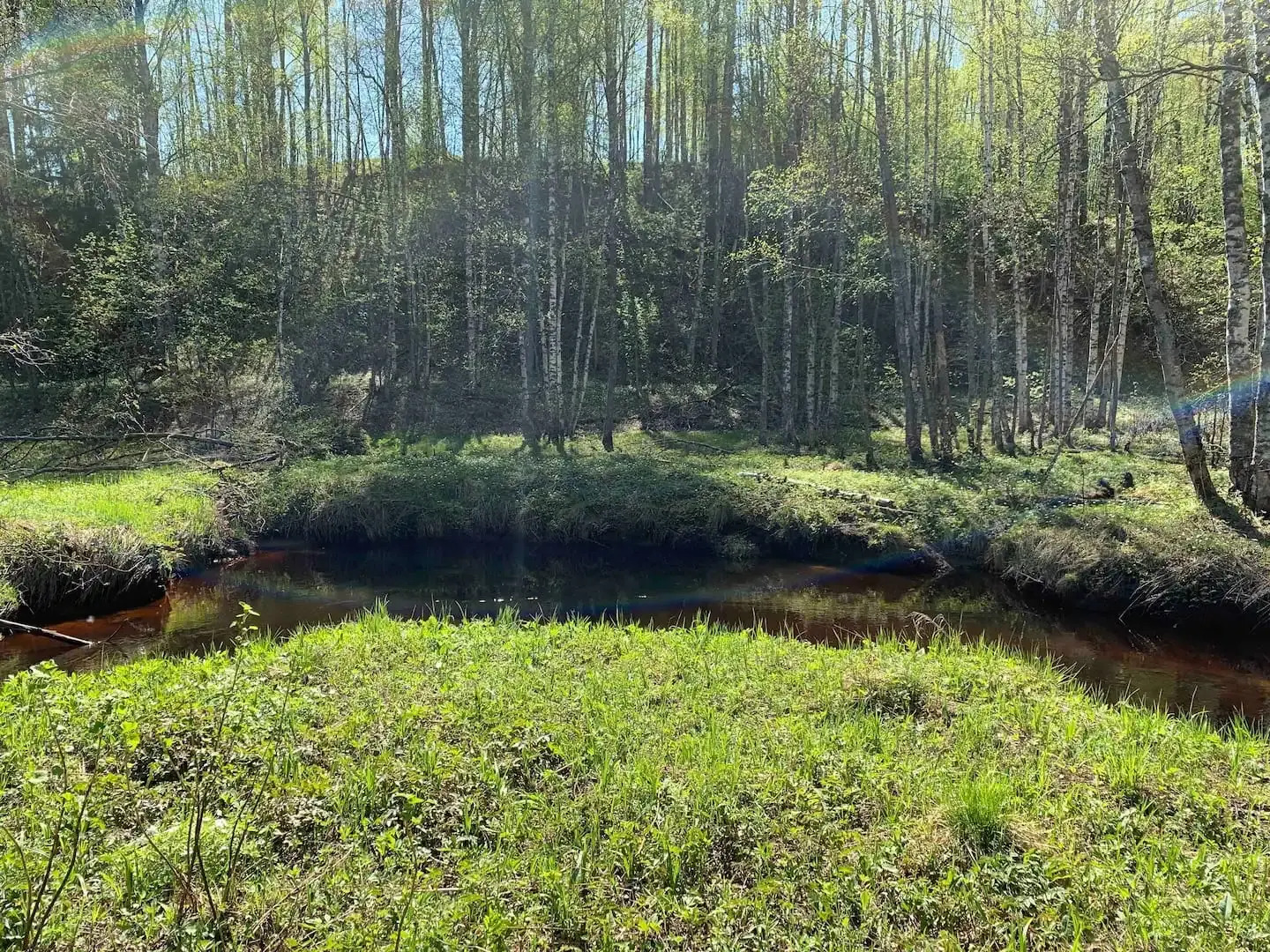 Дом с баней и камином