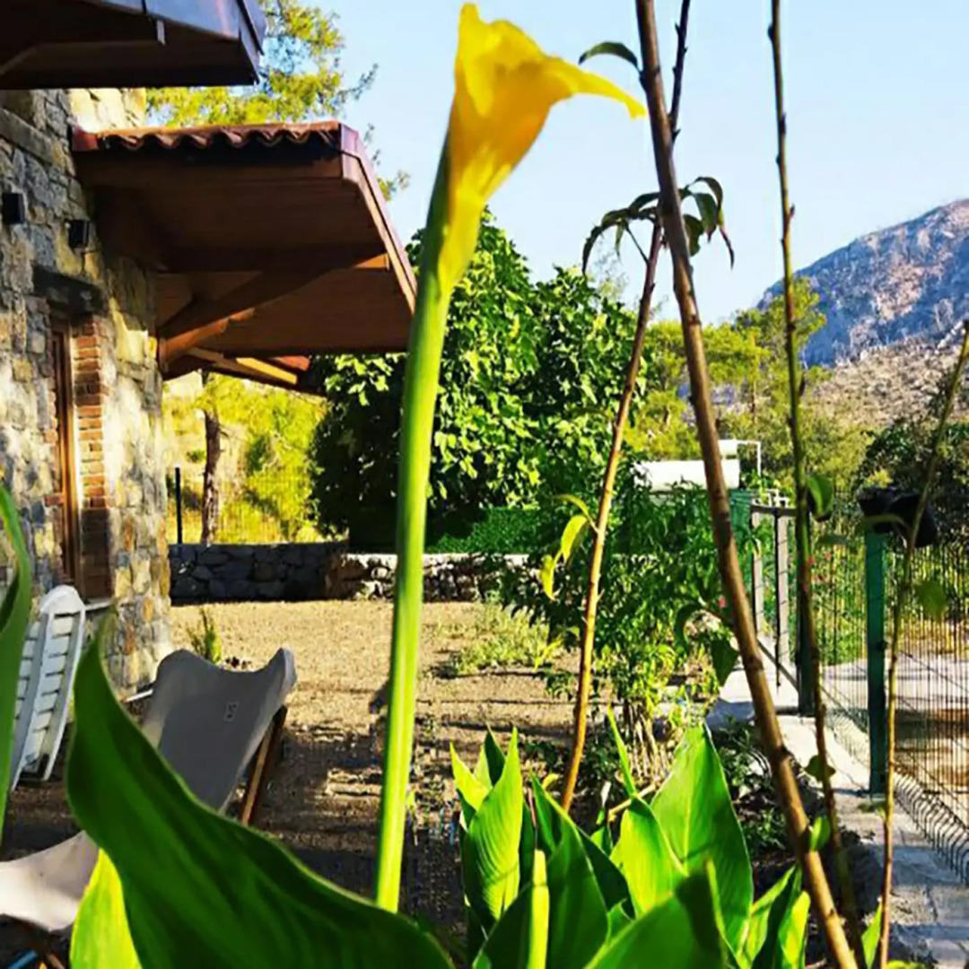 Вилла Cottage Aegean Holiday Villa