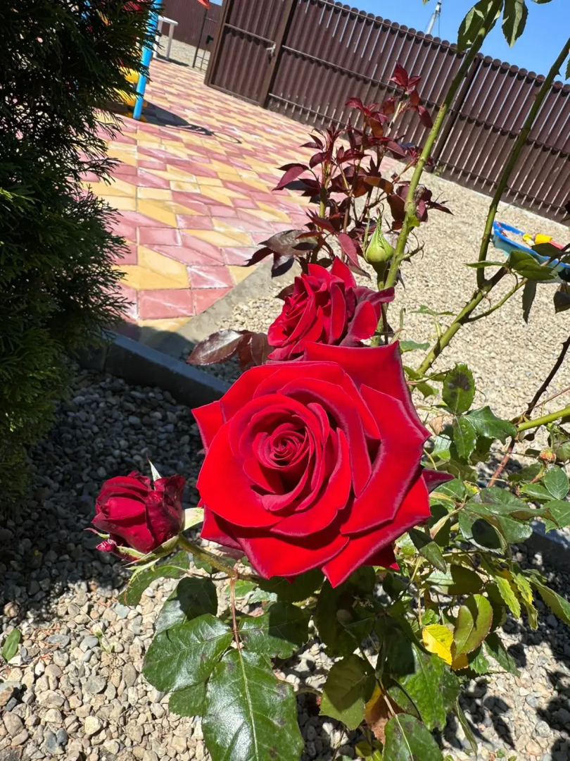 Гостевой дом Деревянные Домики под Ключ на ПК Кавказ