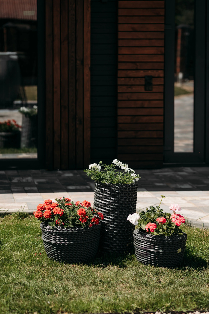 Гостевой дом дом в аренду в Беловежской пуще